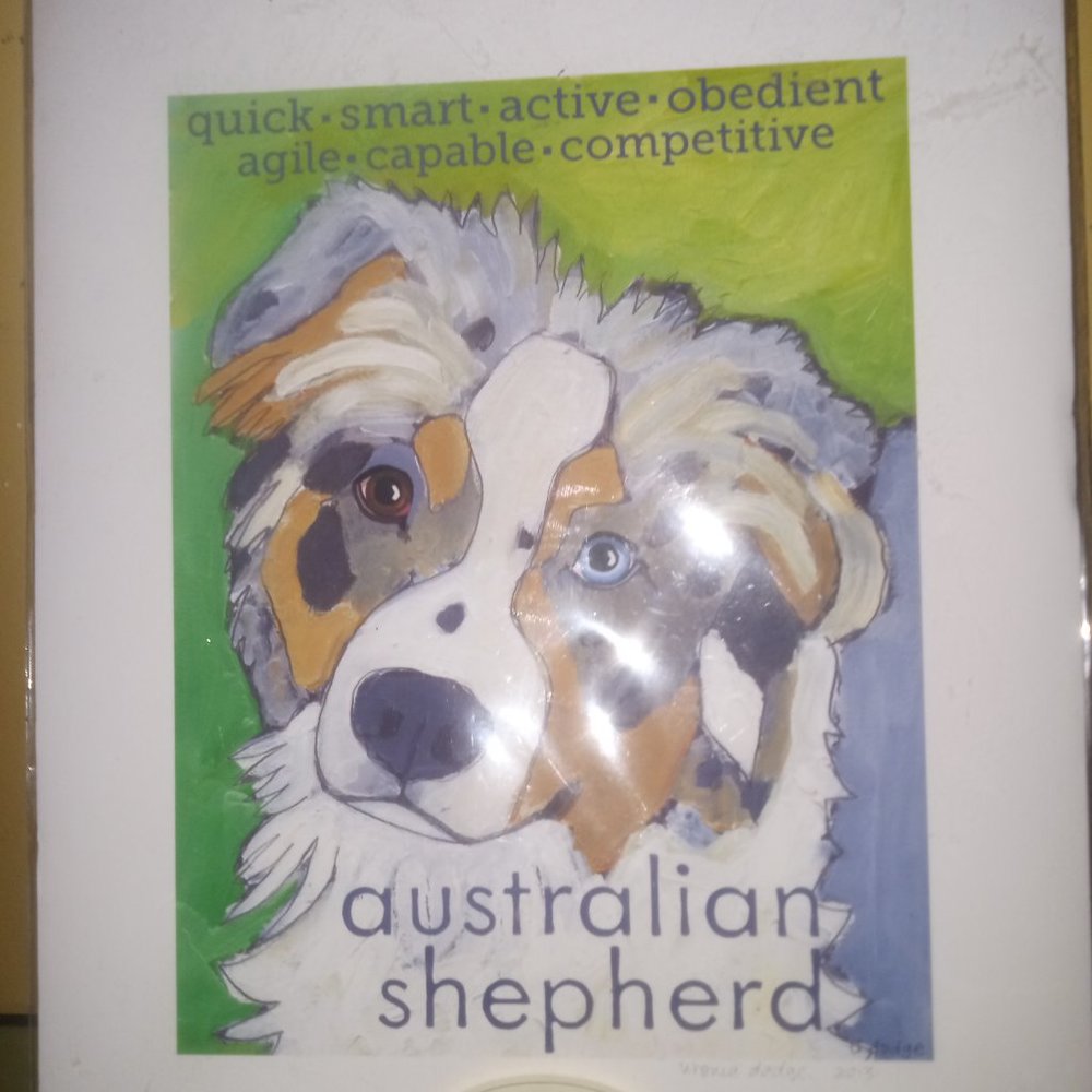 Australia Shepherd Print
